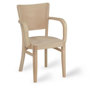 Trent Armchair - Polished Frame
